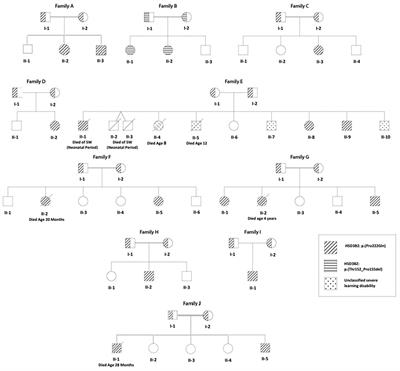 Genotype, Mortality, Morbidity, and Outcomes of 3β-Hydroxysteroid Dehydrogenase Deficiency in Algeria